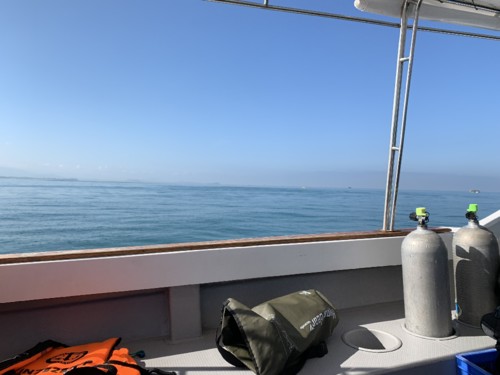 IMG_0495.JPG IMG_0495.JPG