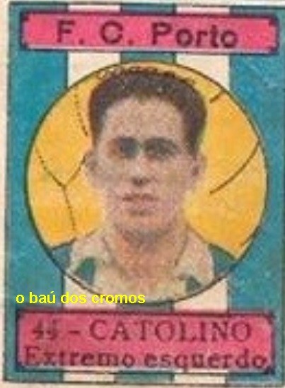 catolino-porto-12670536_625619977589519_6676354982