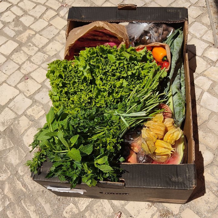 108932387_1754232694716484_786333617158085486_o.jp