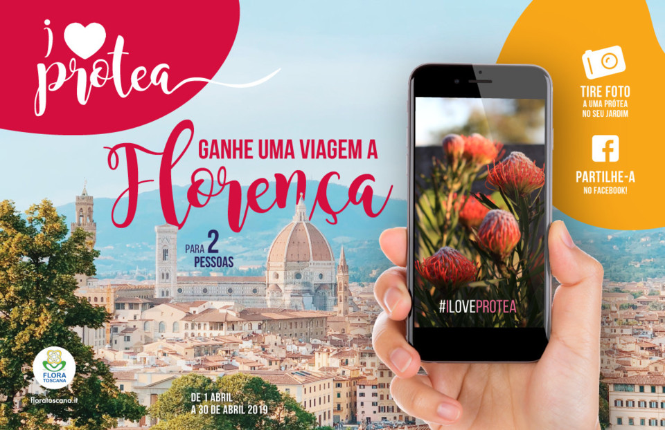 concurso_blog.jpg concurso_blog.jpg