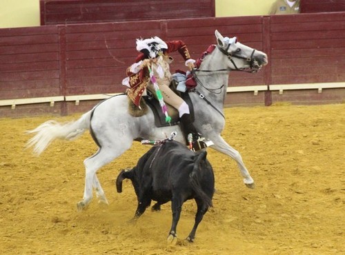 francisco correia lopes.jpeg