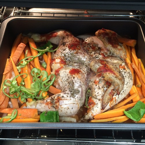 IMG_2305.JPG IMG_2305.JPG