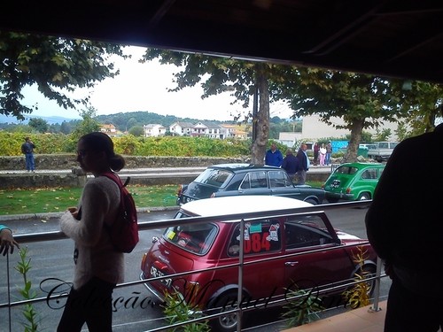 Rota do Moscatel Favaios 2015 (135).jpg