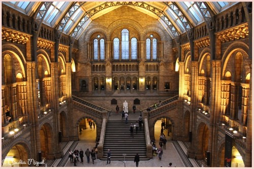 Natural History Museum Natural History Museum