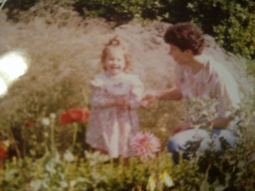 13095774_1272085952819921_6616348813327671863_n.jp