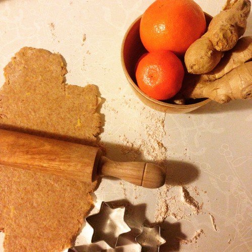 fotografia 1 (4).JPG