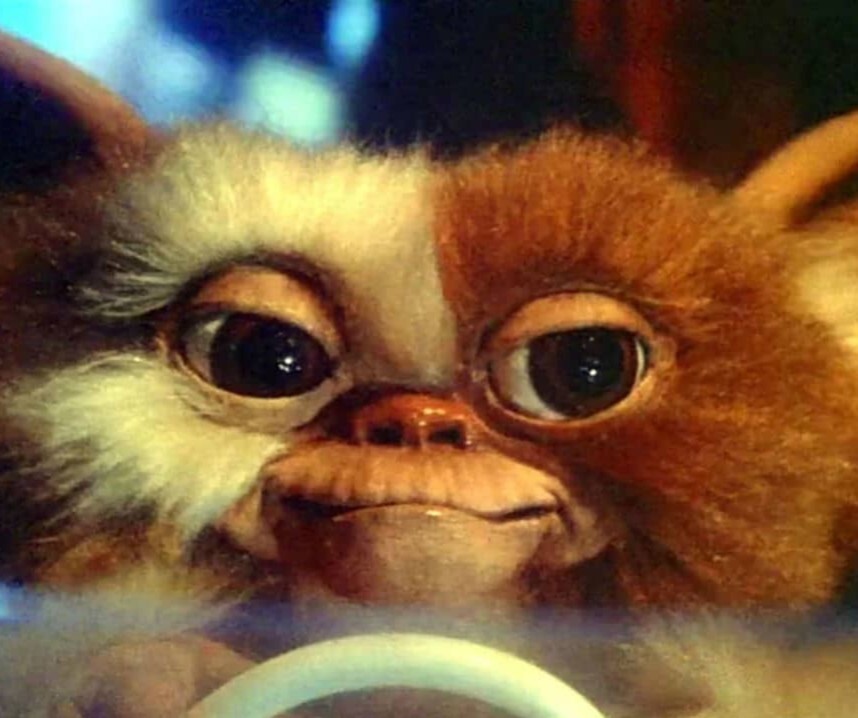 descarregar (10).jpg