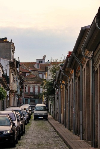 IMG_3526.JPG IMG_3526.JPG