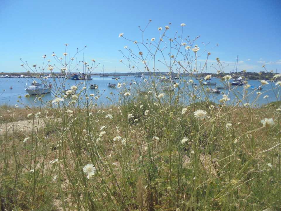 Nat_cfn.JPG Nat_cfn.JPG