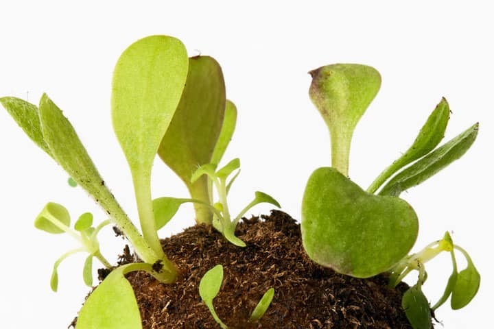 279363594_5510581982299098_263898383841277705_n.jp