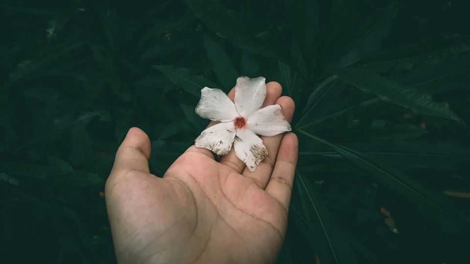 Being This Close To Nuclear War Should Change How 