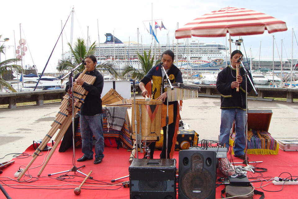 Harmony Cosmovision Native Music.jpg