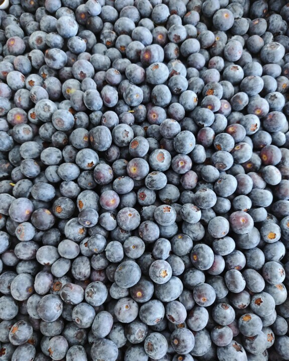 438793540_820116846812394_2047179169331486582_n.jp