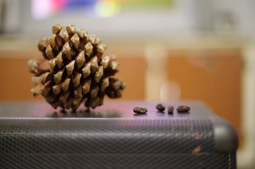 14925609_1353450484667488_1792451935567448876_n.jp 14925609_1353450484667488_1792451935567448876_n.jp