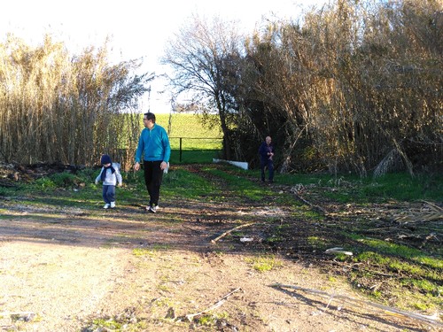 IMG_20170108_154411.jpg IMG_20170108_154411.jpg