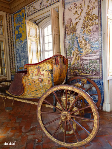 P1360605 cópia assin.jpg