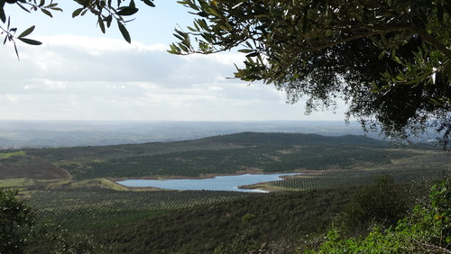visita de estudo a Sintra 16 janeiro 044.JPG visita de estudo a Sintra 16 janeiro 044.JPG