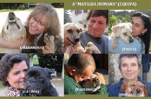 12119036_10156116977725076_6260732282070892544_n.j