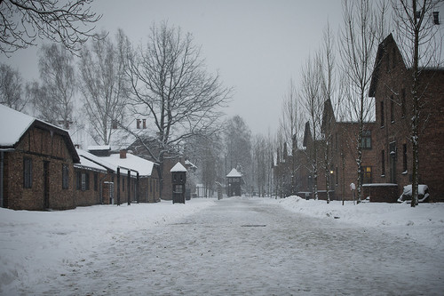 Auschwitz5.jpg Auschwitz5.jpg