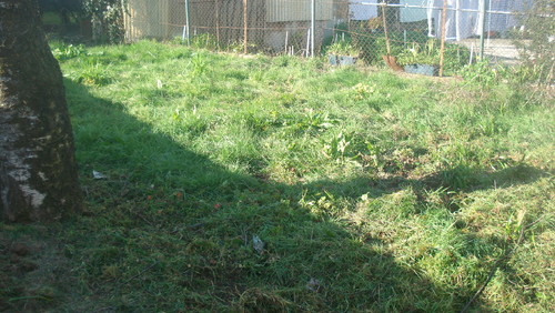 DSC09935.JPG