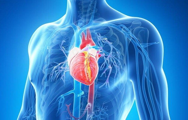 doencas-cardiacas-merecem-atencao-em-meio-a-pandem
