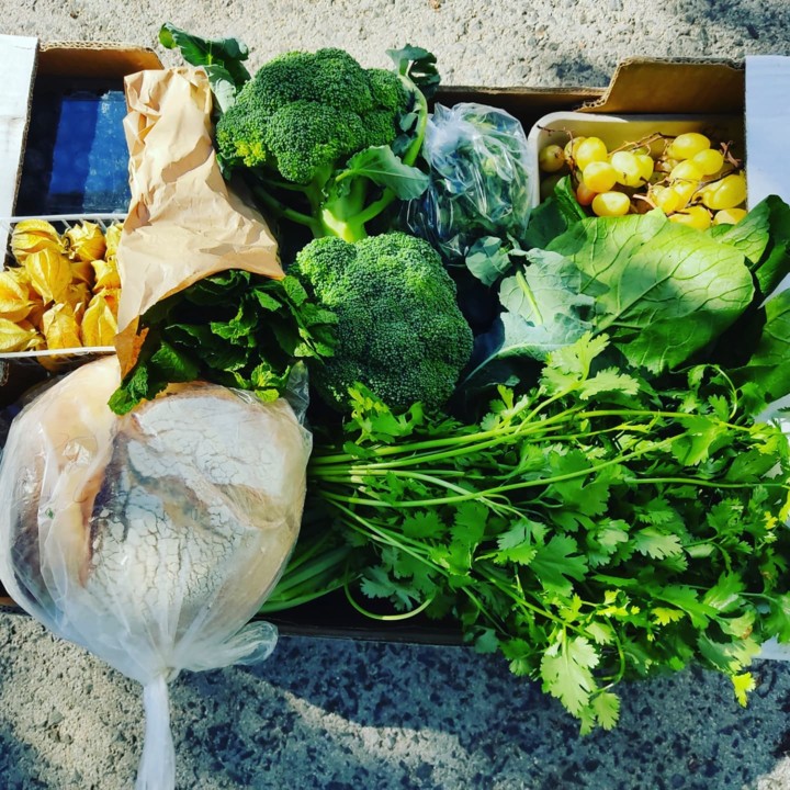 254549005_2161884153951334_6255731392541215369_n.j