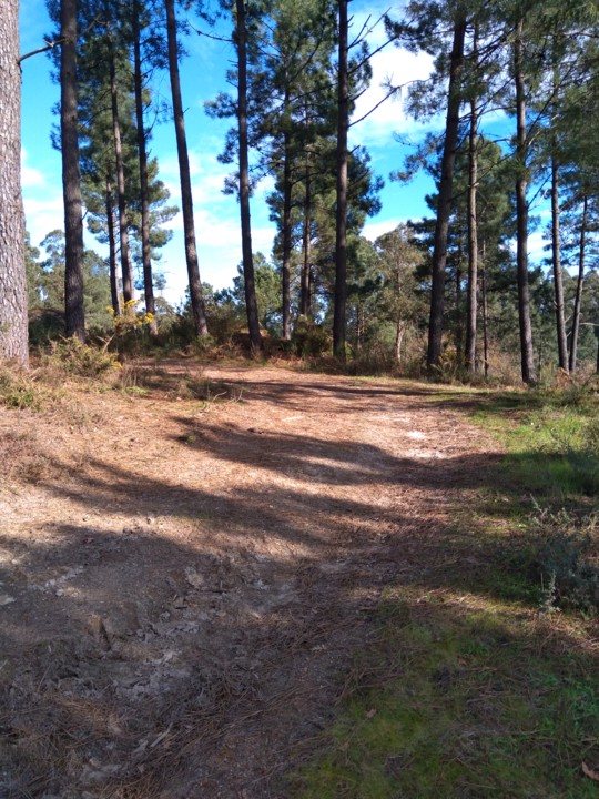 IMG_20210110_123252_BEAUTY.jpg IMG_20210110_123252_BEAUTY.jpg