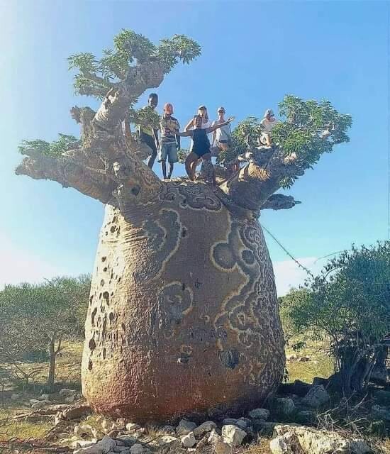 tumblr_38e4db14f964ef39ca446746f47fec5f_93f9c901_6