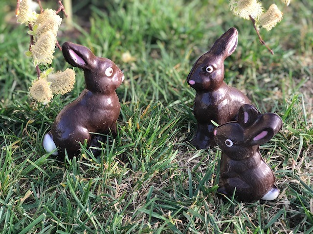 image9.jpeg image9.jpeg