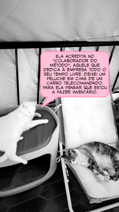 2021-08-18 03-picsay.jpg