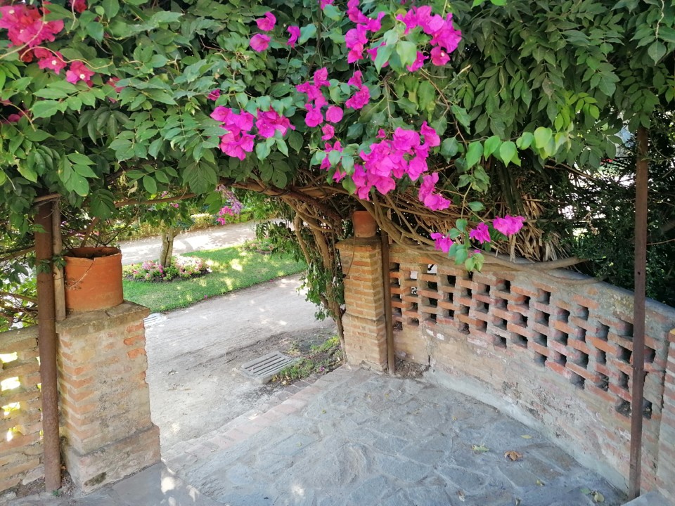 IMG_20200822_174556.jpg IMG_20200822_174556.jpg