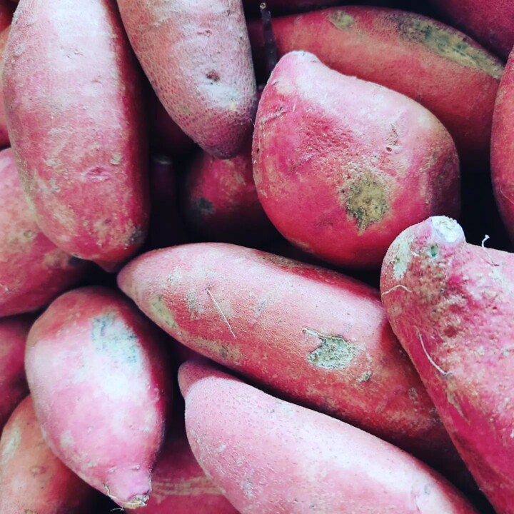 308967492_2418993438240403_3524655862940273079_n.j