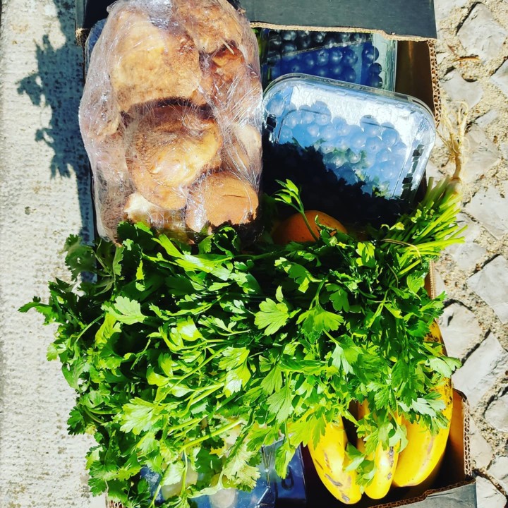 120333970_1826296614176758_4514785913403966554_o.j