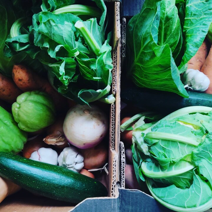 466794400_957862209704523_5099693303056585458_n.jp