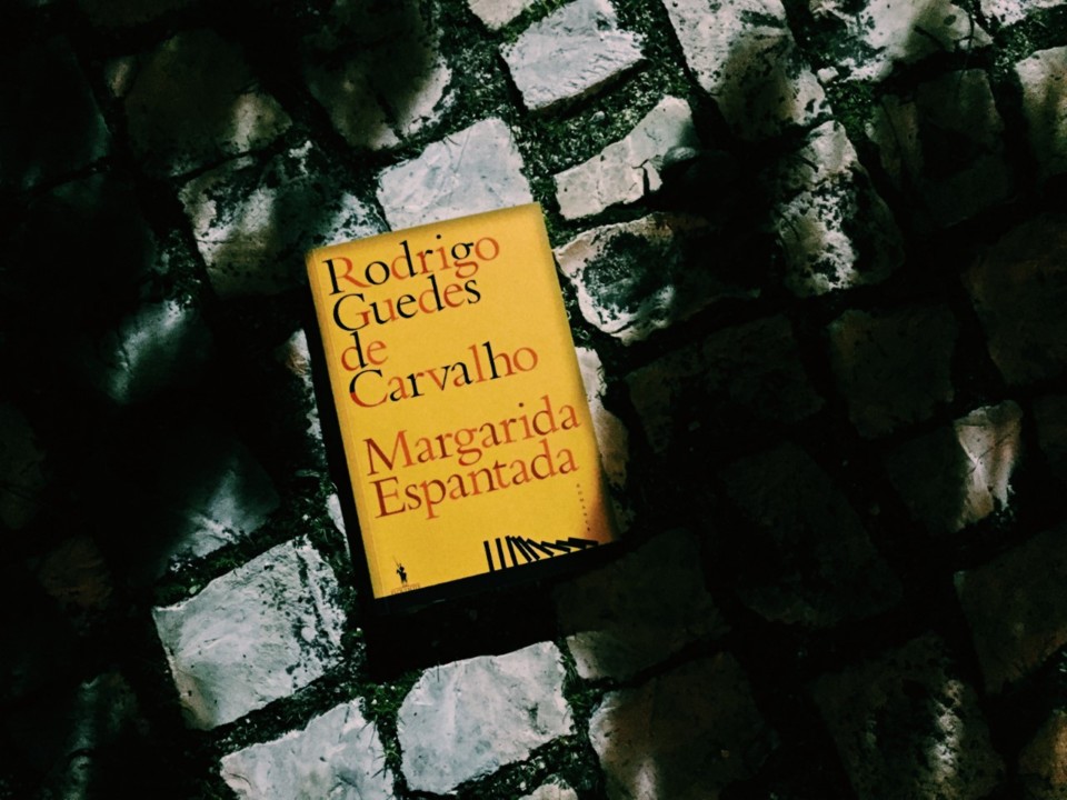 margarida espantada.jpg