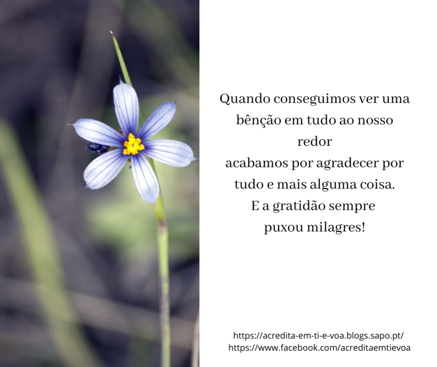 gratidão.png