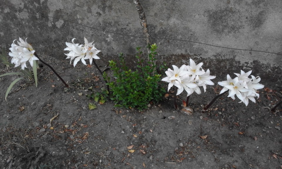 Despedidas de Verão. Foto original. 2020. 09. jpg