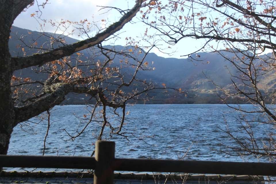 20191130154847_IMG_1985_resized_20200123_032602449