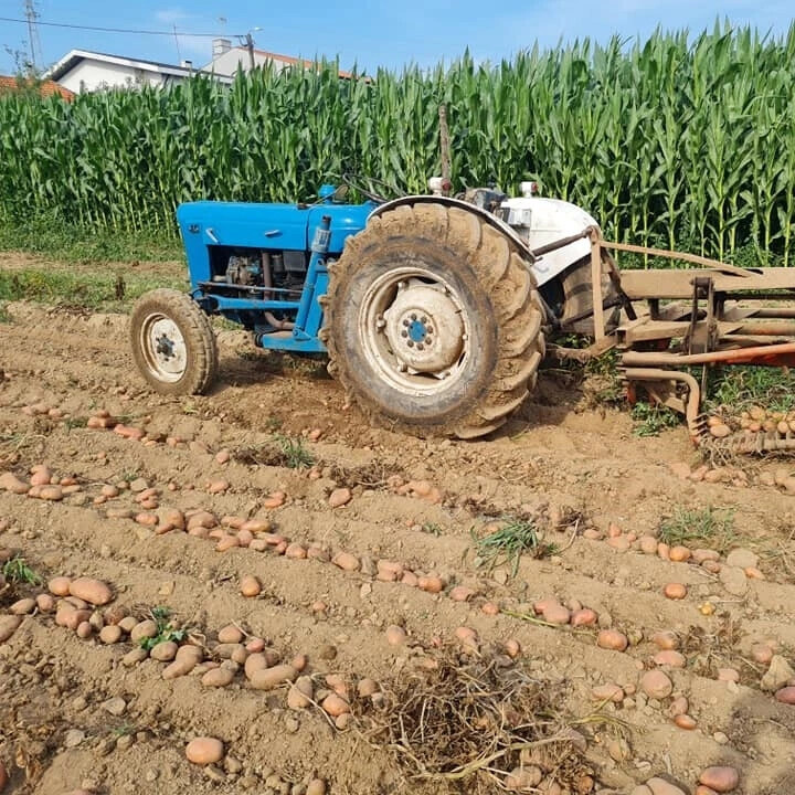 Qual é a cor do teu trator?🚜 - Carlos Neves Agricultor