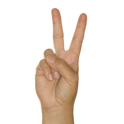 Diccionario global de gestos para viajeros __ El V