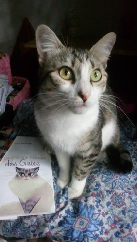 IMG_20170626_151143.jpg IMG_20170626_151143.jpg