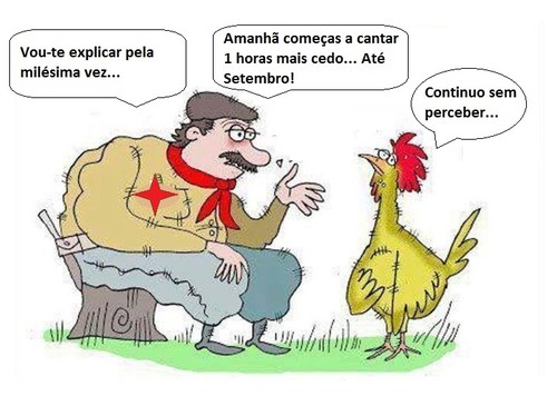 galo hora de verão.jpg