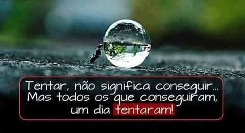 tentar.jpg