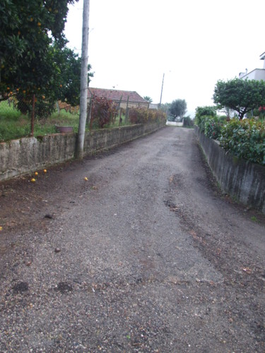 Valongo Estrada Brunhido (2).jpg