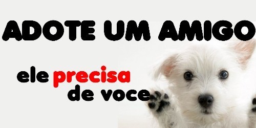 adote adote