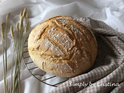 2018-04-21 09.00.10.jpg