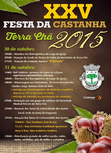 Cartaz Festa Castanha 2015.jpg