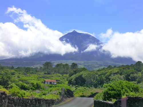 COPYRIGHT O RAPAZ DAS ILHAS 