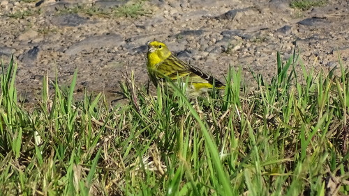 DSC00198.jpg DSC00198.jpg