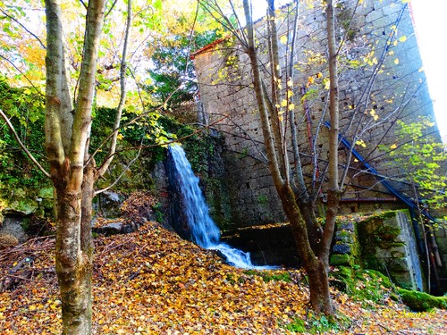 Fotos de Outono !!! 103.jpg